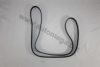 AUTOMEGA 3113400665 V-Ribbed Belts